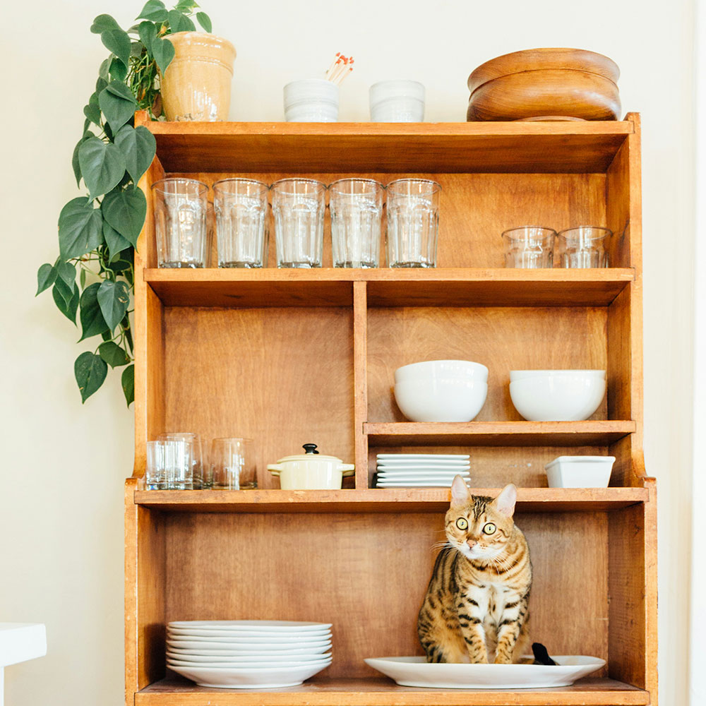 Master Home Space: Organize & Store